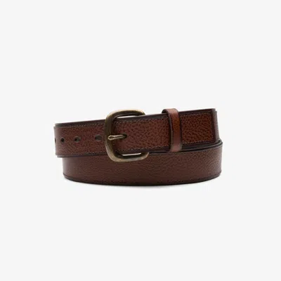 Clarks Casual Belt In Brown