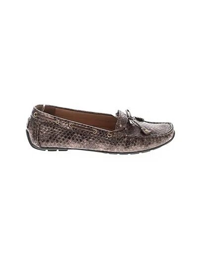 Pre-owned Clarks Flats In Brown