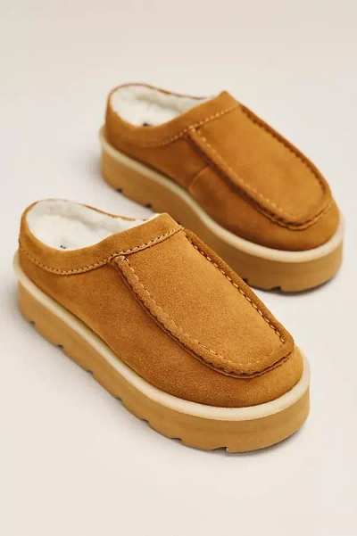 Clarks Meare Moccasin Mules In Brown