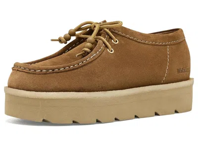 Clarks Meare Walla Women's Dress Flat Shoes Bronze Suede: 6 B - Medium