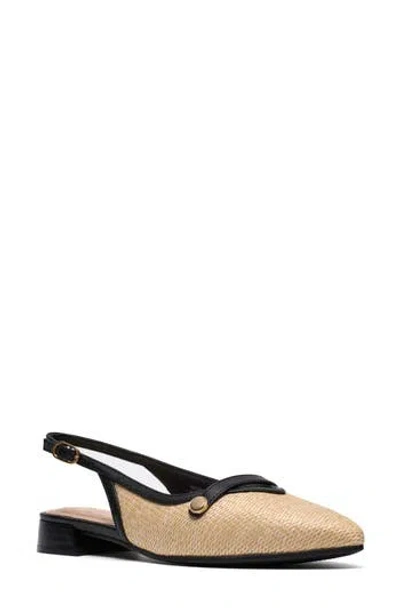 CLARKS CLARKS® NATALYN POINTED TOE SLINGBACK FLAT