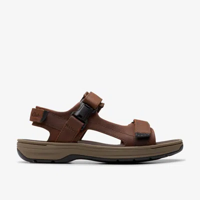 Clarks Saltway Trail In Brown
