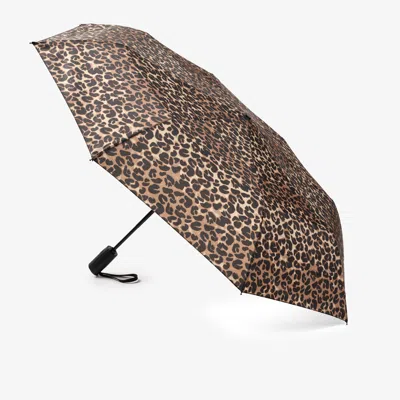 Clarks Umbrella In Brown