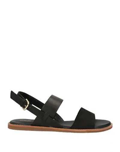 Clarks Woman Sandals Black Size 7.5 Leather