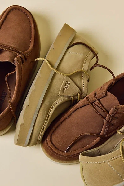 Clarks Women's Meare Wallabee Shoe In Maple Suede, Women's At Urban Outfitters In Brown