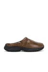 Clarks X Martine Rose Clog 1 Slippers In Brown