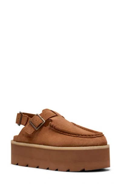 Clarksr Clarks(r) Meare Easy Elvtd Slingback Mule In Brown