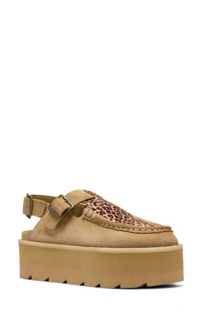 Clarksr Clarks(r) Meare Easy Elvtd Slingback Mule In Brown