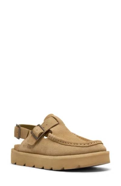 Clarksr Clarks(r) Meare Easy Slingback Mule In Maple Suede