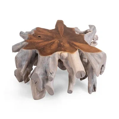 Classic Home Cypress Teak Root Wood Coffee Table In Brown