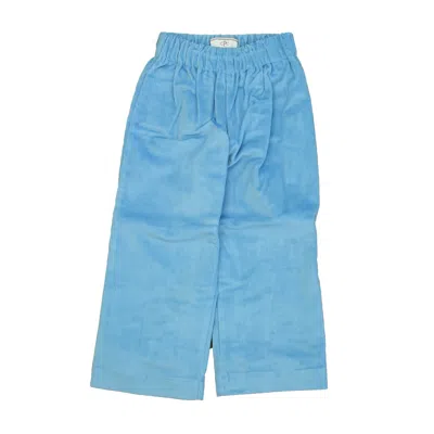 Classic Prep Kids' Boys Alaskan Blue Corduroy Pants In Multi