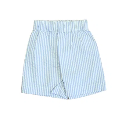Pre-owned Classic Prep Kids' Boys Blue & White Stripe Shorts Size: 6-9 Months In Multi