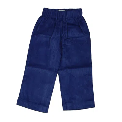 Classic Prep Kids' Boys Bright Navy Corduroy Pants Size: 12-24 Months In Blue