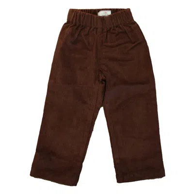 Classic Prep Kids' Boys Fudgesicle Corduroy Pants Size: 12-24 Months In Brown