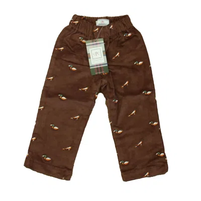 Pre-owned Classic Prep Kids' Boys Fudgesicle W/ Bird Embroidery Corduroy Pants Size: 12-24 Months In Brown
