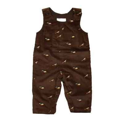 Classic Prep Kids' Boys Fudgesicle With Bird Romper Size: 6-9 Months In Brown