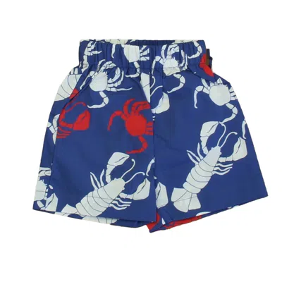 Pre-owned Classic Prep Kids' Boys Lobster Invasion Shorts Size: 12-24 Months In Blue