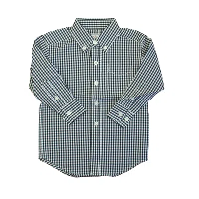 Classic Prep Kids' Boys Medieval Blue Gingham Button Down Long Sleeve Size: 2-5t