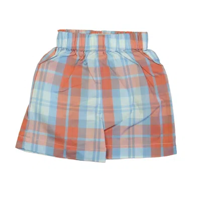 Classic Prep Kids' Boys Placid Blue Shorts Size: 9-12 Months In Multi