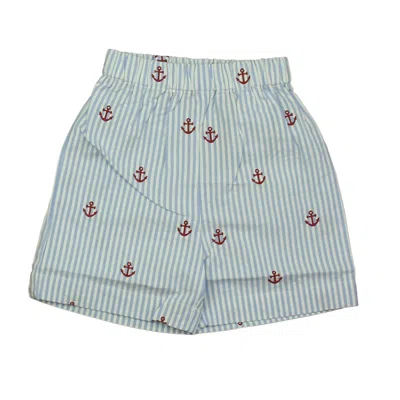 Pre-owned Classic Prep Kids' Boys Red Anchors On Blue Seersucker Shorts Size: 12-24 Months In Multi