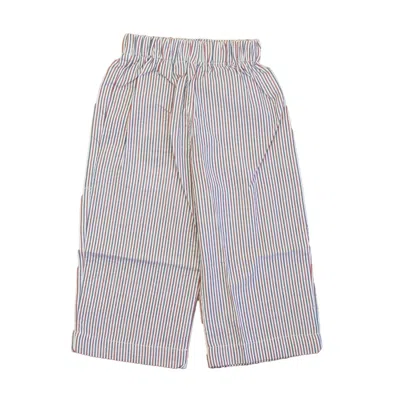 Pre-owned Classic Prep Kids' Boys Red White Blue Pants Size: 2-5t In Multi
