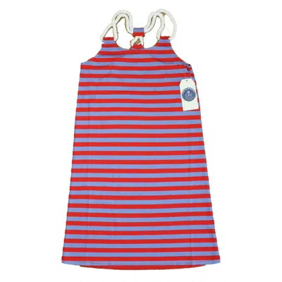 Classic Prep Kids' Girls Highrisk Red Wedgewood Dress In Multi