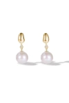 Classicharms Doris Freshwater Pearl Drop Earrings In Gold