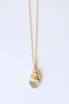 Classicharms Lexi Seashell Pendant Necklace In Gold