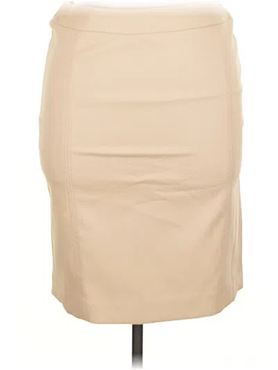 Pre-owned Classiques Entier Formal Skirt In Brown