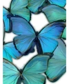 Classy Art Blue And Green Butterflies Mixed Media Wall Art, 24" X 16" In Blue