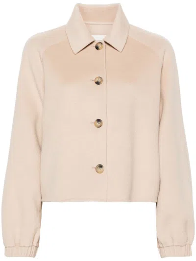 Claudie Pierlot Classic-collar Jacket In Neutrals