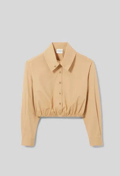 Claudie Pierlot Cropped High Neck Shirt In Brown
