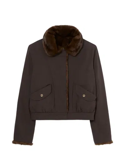 Claudie Pierlot Short Reversible Nylon Parka In Brown