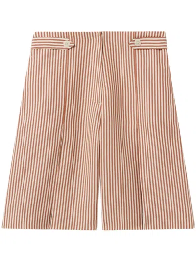 Claudie Pierlot Striped Shorts In 褐色