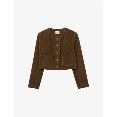 Claudie Pierlot Womens  Boxy Round-neck Stretch-velvet Jacket In Brown