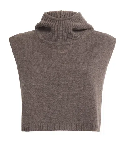 Claudie Pierlot Wool Hooded Sweater Collar In Brown
