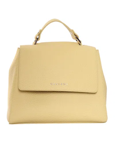 Claudio Orciani Textured Calf Leather Handbag In Brown