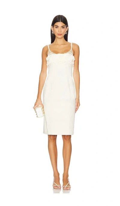 Clea Lena Pencil Dress In Cream