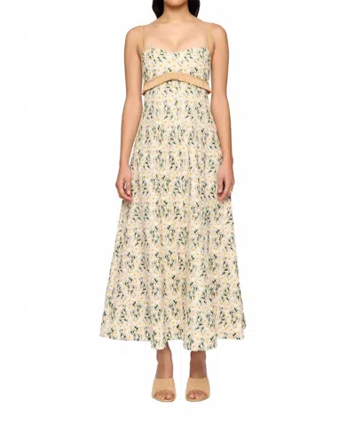 Clea Salvador Midi Dress In Daisy Meadow In Multi
