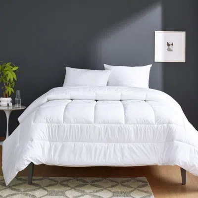Clean Design Home X Martex Anti-allergen 100% Cotton Cover 300 Thread Count Super Soft Comforter In White