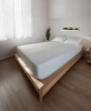 Cleanbrands Pro Zippered Mattress Encasement