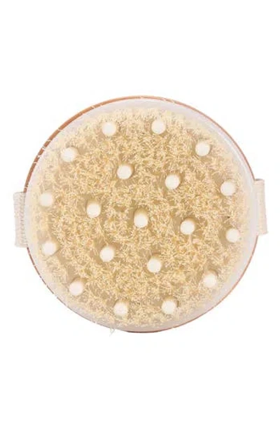 Cleanlogic Massaging Dry Body Brush In Transparent