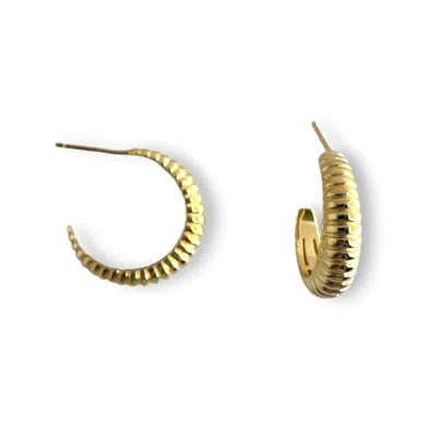 Clemence Wren Women's Rib Edge Chunky Hoop Earrings - Gold