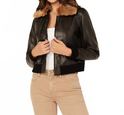 Cleo + Wolf Casey Faux Fur Collar Bomber Jacket In Black In Brown