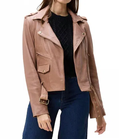 Cleobella Asher Leather Jacket In Chocolate Malt In Brown