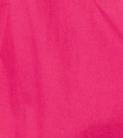 Cleobella Avila Top In Pink