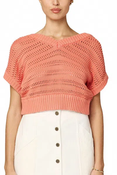Cleobella Cece Crochet Sweater In Coral In Pink
