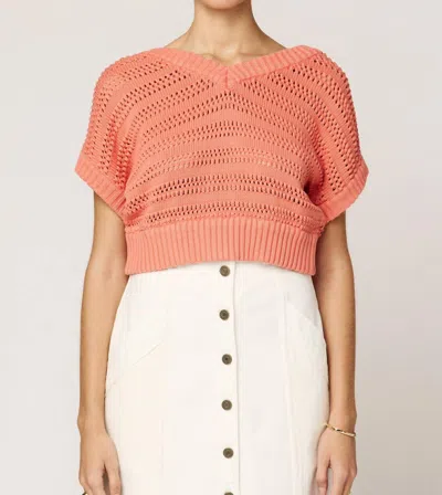 Cleobella Cece Crochet Sweater In Coral In Pink