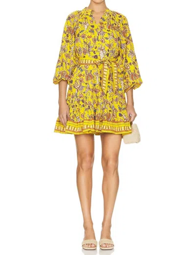 Cleobella Elvia Mini Dress In Evora In Multi