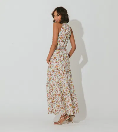 Cleobella Evangeline Ankle Dress In Multi